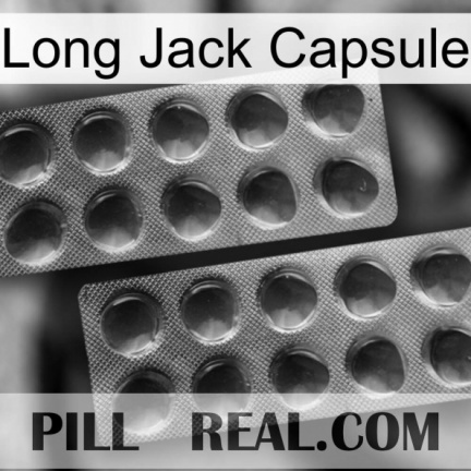 Long Jack Capsule 31